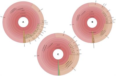 Dynamic change of bacterial diversity, metabolic pathways, and flavor during ripening of the Chinese fermented sausage